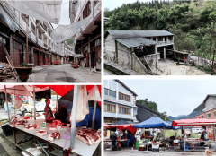 取较大城市市场里见到的猪肉一个明是 取较大城市市场里见到的猪肉一个明是